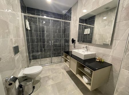 turkey/sakarya/serdivan/continentluxurysuitessakaryacd752395.jpg
