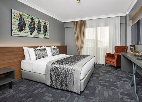 turkey/sakarya/serdivan/luxonhotelsakaryaa8220419.jpg