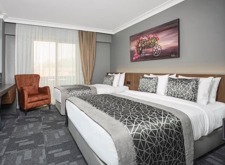 turkey/sakarya/serdivan/luxonhotelsakaryaf5961d93.jpg