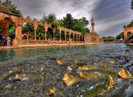 turkey/sanliurfa/beyzadekonakotel1b1808ae.jpg