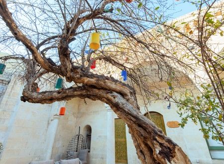 turkey/sanliurfa/narlievbutikotel2706e567.jpg