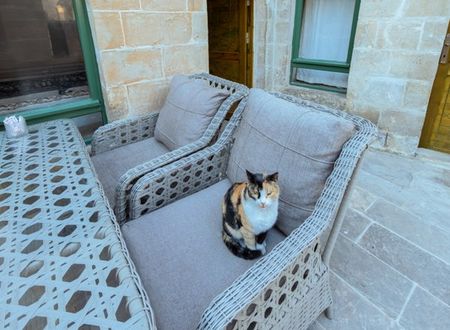 turkey/sanliurfa/narlievbutikotel77ee278d.jpg