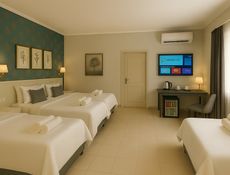 Deluxe 1+1 Süit Oda, Şehir Manzaralı