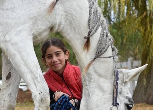 turkey/tekirdag/corlu/olimposbutikotelcorluff1a7061.jpg