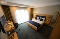 Deluxe Double Room,Mountain View