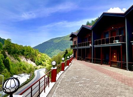turkey/trabzon/caykara/greencinaraparte484a362.jpg