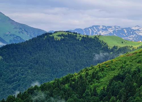 turkey/trabzon/caykara/yesilkoskotelaca49a46.jpg