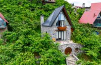 KING BUNGALOV WITH JACUZZI MOUNTAIN VIEW