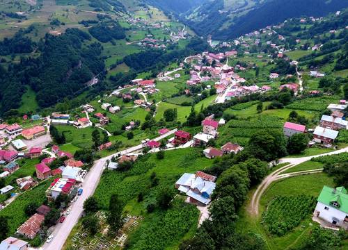 turkey/trabzon/hamsikoycennetbahcesiotelrestaurant1b43d4e5.jpg