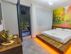 DOUBLE DELUXE WİTH FRENCH BALCONY
