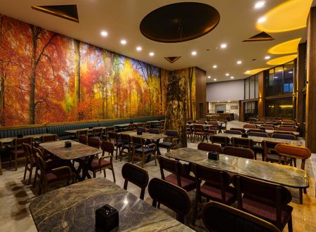 turkey/trabzon/macka/macartasihotel104b3677.jpg