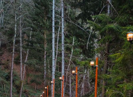 turkey/trabzon/montanasuitebungalows80ecefbd.jpg