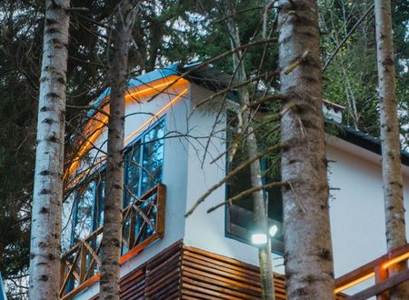 turkey/trabzon/montanasuitebungalowsf1a99227.jpg