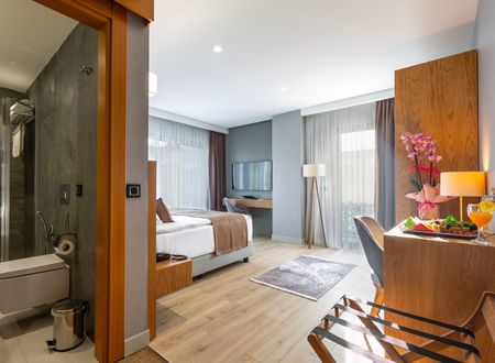 turkey/trabzon/northstarsuitehotel572ee3b2.jpg