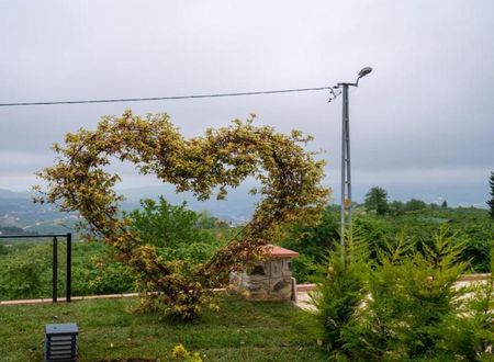 turkey/trabzon/poisongardensuitespa1fa5b9d1.jpg