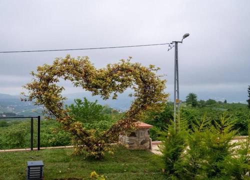 turkey/trabzon/poisongardensuitespa1fa5b9d1.jpg