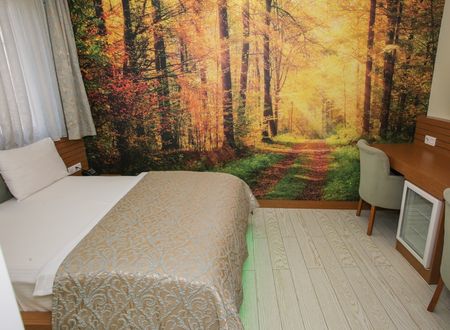 turkey/trabzon/quantumhotel13a9314c.jpg