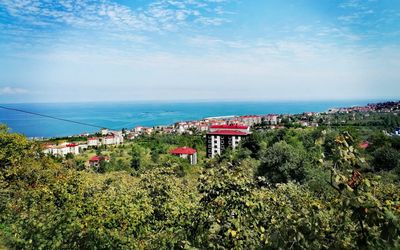 Royal Villa Hotel · 3