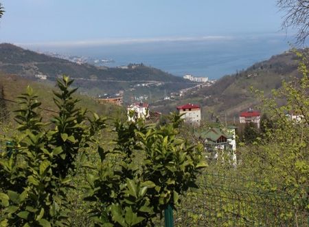 turkey/trabzon/yomra/trabzoncamlicabungalov59c8d1ad.jpg