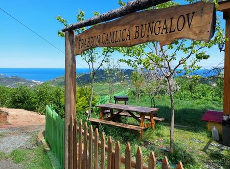 turkey/trabzon/yomra/trabzoncamlicabungalovcf8741eb.jpg