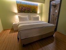 HOTEL ROOM (103)