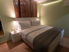 HOTEL ROOM (109)