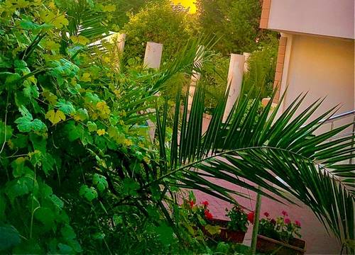 turkey/yalova/amadeusmotel87fab08d.jpg