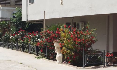 turkey/yalova/grandkronehotel8f4b085a.jpg