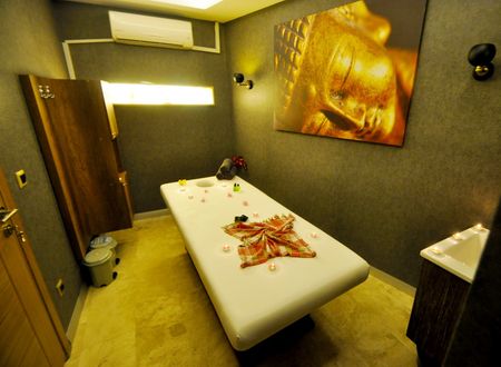 turkey/yalova/termal/blackbirdthermalhotel65832109.jpg