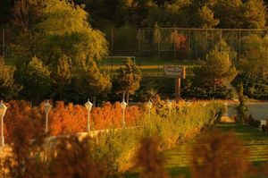 turkey/yozgat/yozgatcamlikhotelrestaurant2eb49035.jpg