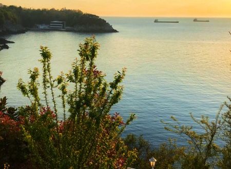 turkey/zonguldak/babizerpansiyon3fb83b30.jpg