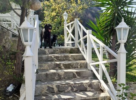 turkey/zonguldak/babizerpansiyon91015434.jpg