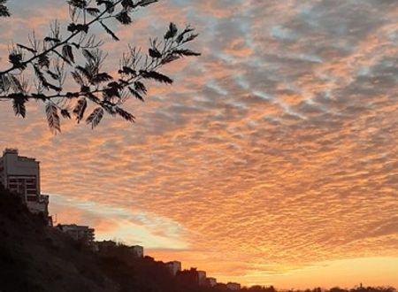 turkey/zonguldak/babizerpansiyonc00c4004.jpg