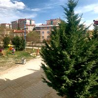 Afyon Home