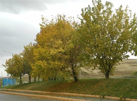 turkiye/afyon/merkez/omer-thermal-hotel-1840112.jpg