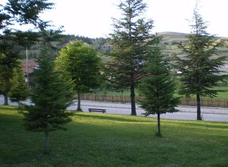 turkiye/afyon/merkez/omer-thermal-hotel-940516.jpg