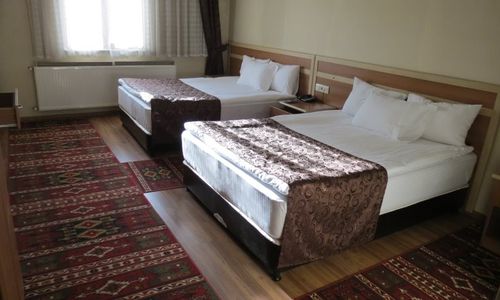 turkiye/agri/merkez/birlik-sahin-hotel--1146355.jpg
