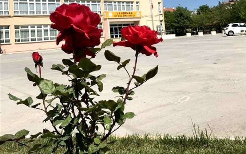 Uluırmak Uygulama Oteli · 1