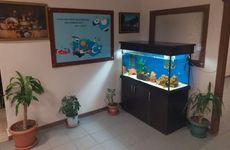 turkiye/aksaray/aksaraymerkez/hayal-hotel-96e39e66.jpg