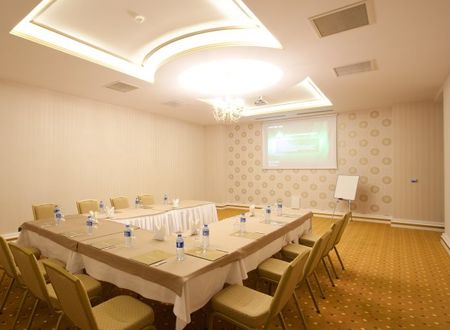 turkiye/aksaray/merkez/grand-altuntas-hotel-863412.jpg