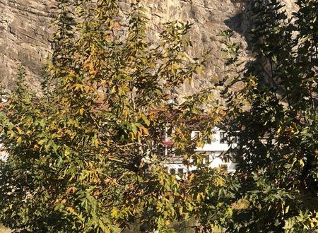turkiye/amasya/amasya-merkez/mor-salkim-konagi_90bdd003.jpg