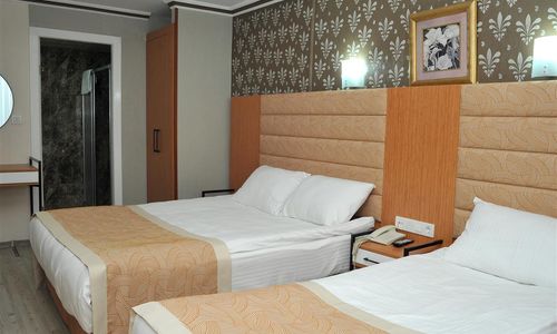 turkiye/ankara/altindag/lion-city-hotel-ankara-4d3ddec5.jpg