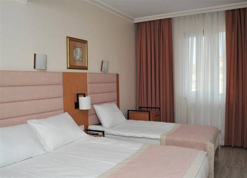 turkiye/ankara/altindag/lion-city-hotel-ankara-e976c17d.jpg