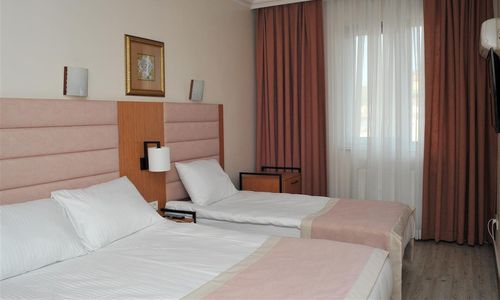 turkiye/ankara/altindag/lion-city-hotel-ankara-e976c17d.jpg