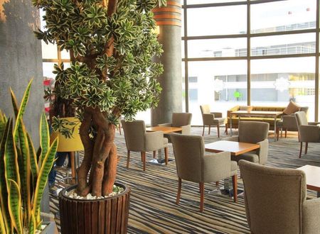 turkiye/ankara/ayas/naskon-sapphire-resort-termal-hotel_e901a6f7.jpg
