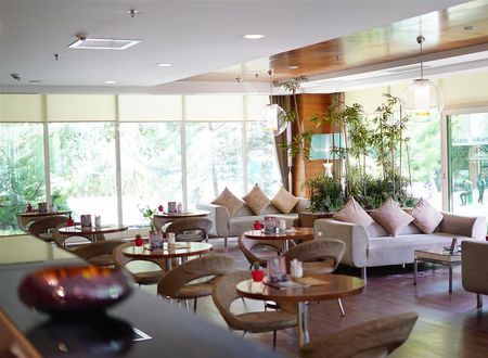 turkiye/ankara/cankaya/alba-ankara-hotel-48af4c0f.jpg