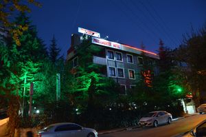 turkiye/ankara/cankaya/ankara-hotel-pino-f2bb9528.jpg