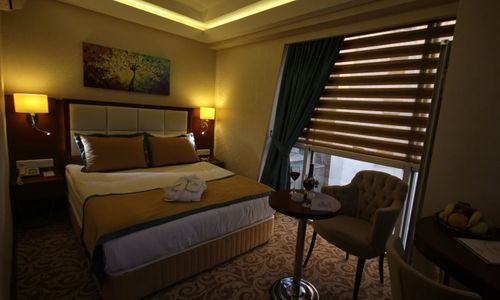 turkiye/ankara/cankaya/asrin-business-hotel-1310062.jpg