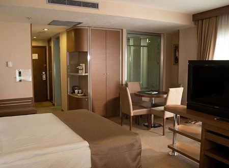 turkiye/ankara/cankaya/holiday-inn-kavaklidere_8bdeca45.jpg