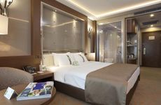 turkiye/ankara/cankaya/holiday-inn-kavaklidere_8f173787.jpg